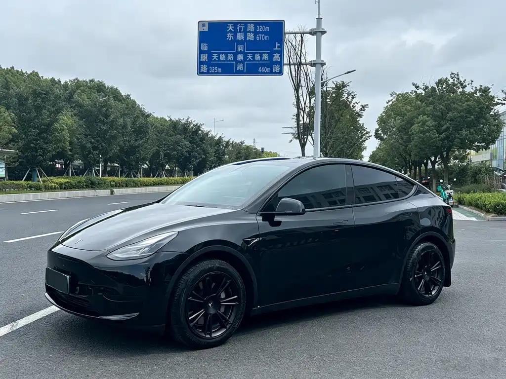 Tesla Model Y — миниатюра 9