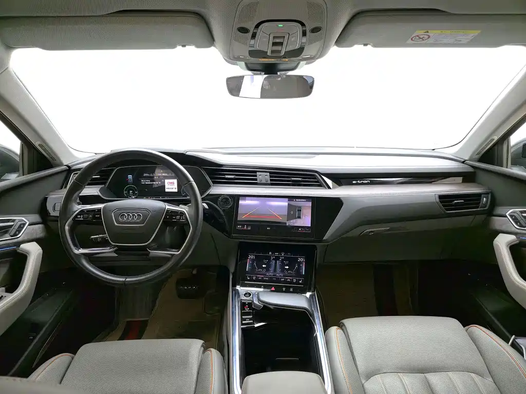 Audi e-tron (Import) — миниатюра 6