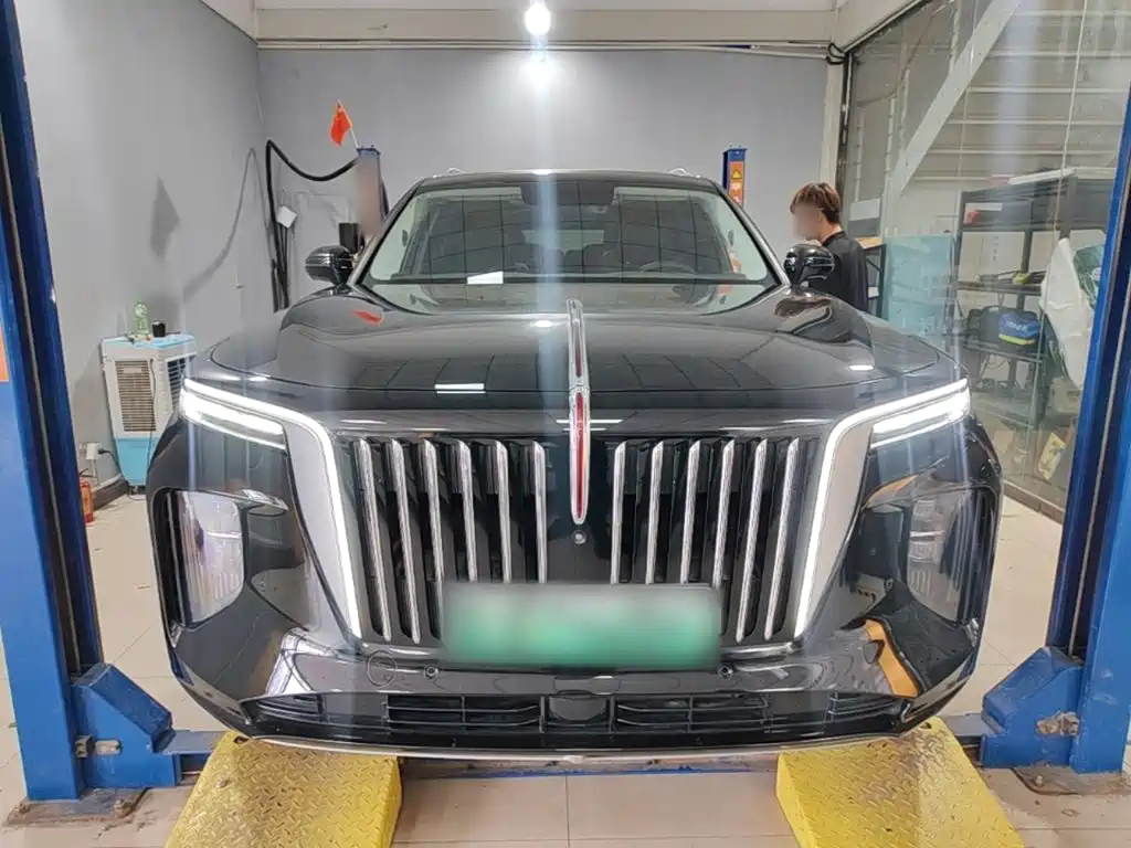 Hongqi Hongqi E-HS9 — миниатюра 3