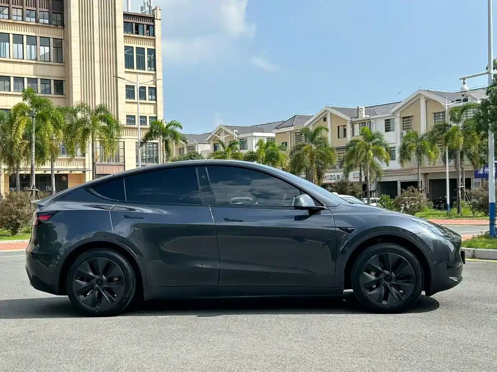 Tesla Model Y — миниатюра 5