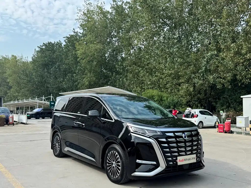 Denza Denza D9 — миниатюра 3
