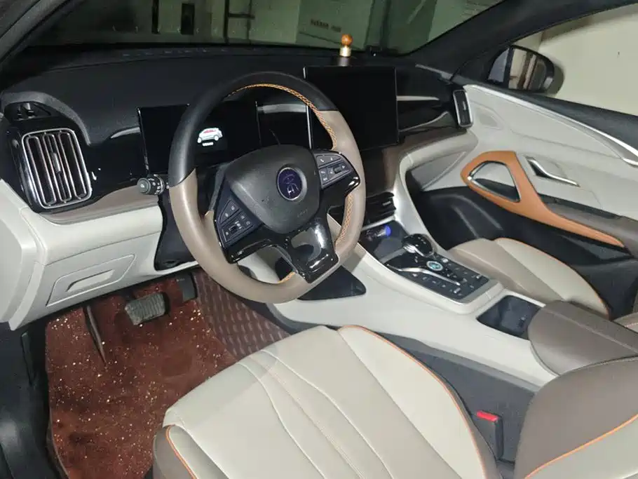 BYD Pro New Energy — миниатюра 12