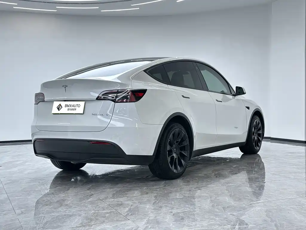 Tesla Model Y — миниатюра 3