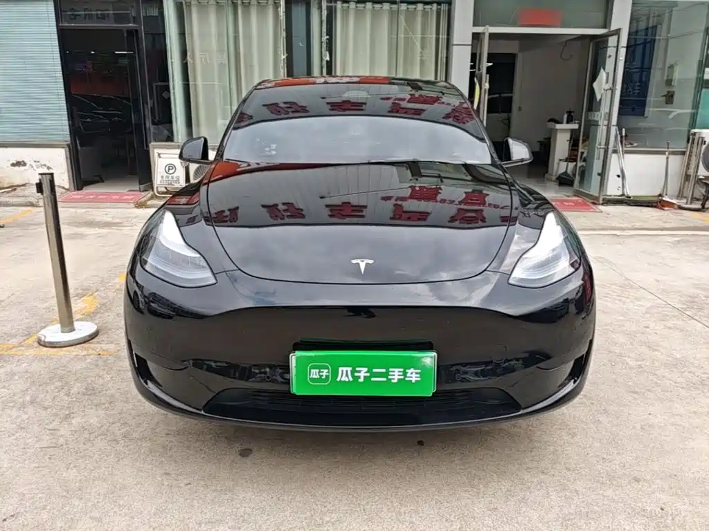 Tesla Model Y — миниатюра 3
