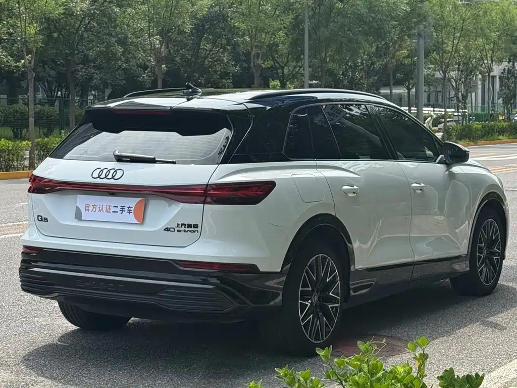 Audi Q5 e-tron — миниатюра 6