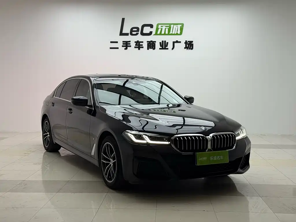 BMW 5 Series — миниатюра 2