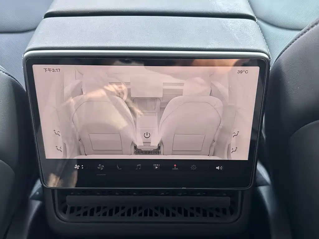 Tesla Model 3 — миниатюра 19