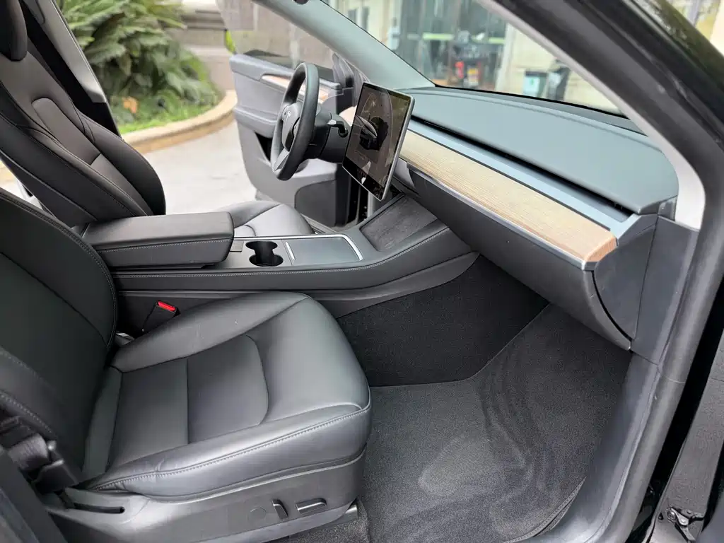 Tesla Model Y — миниатюра 4