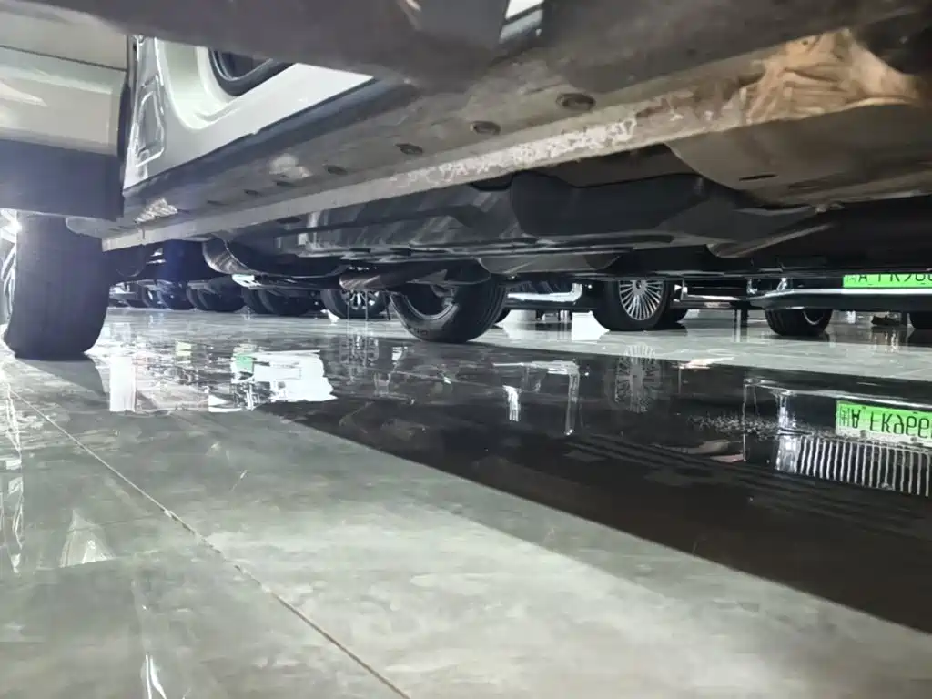 Haval Big Dog PLUS — миниатюра 21