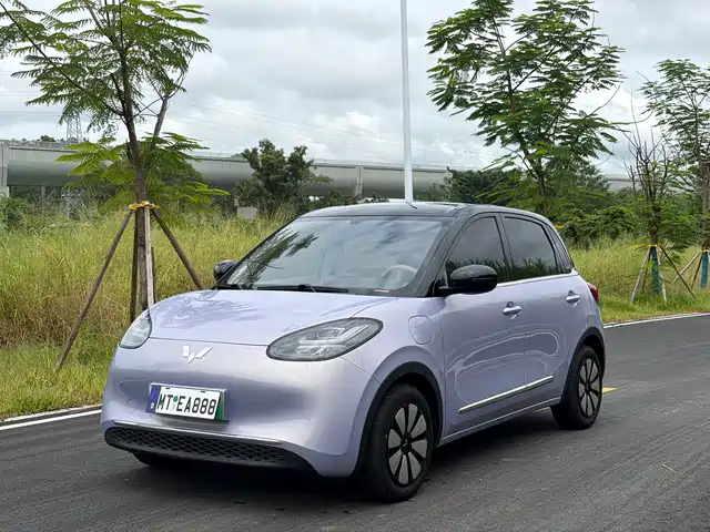 2025 Wuling Motors Binguo
