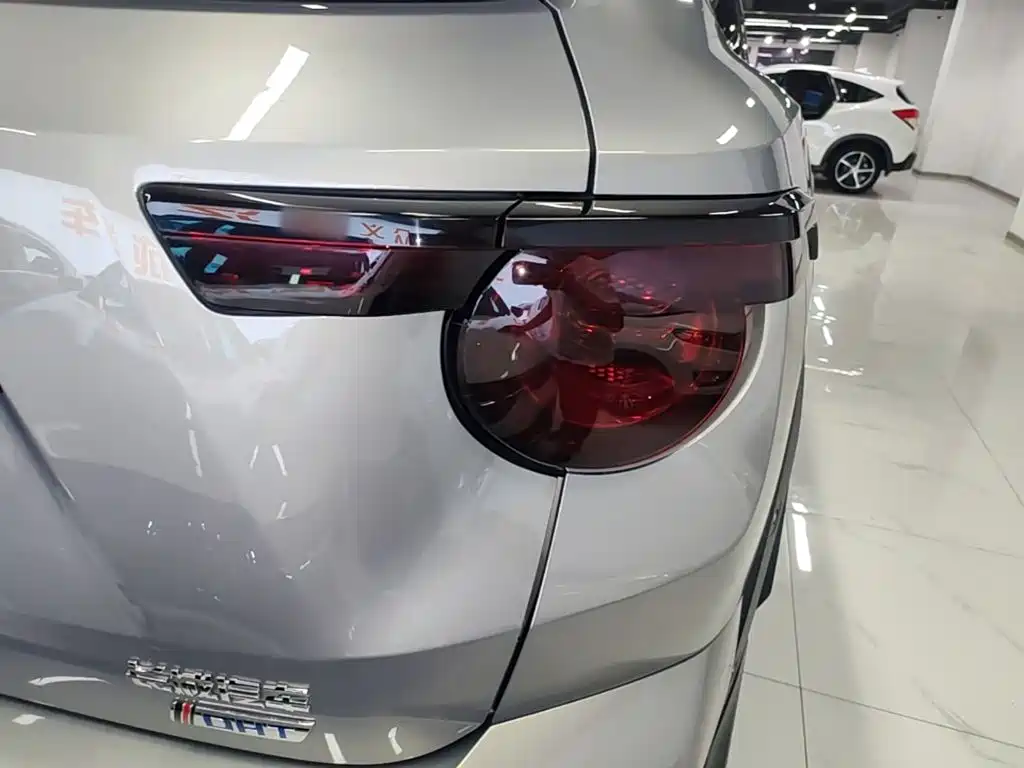 Haval Big Dog PLUS New Energy — миниатюра 8