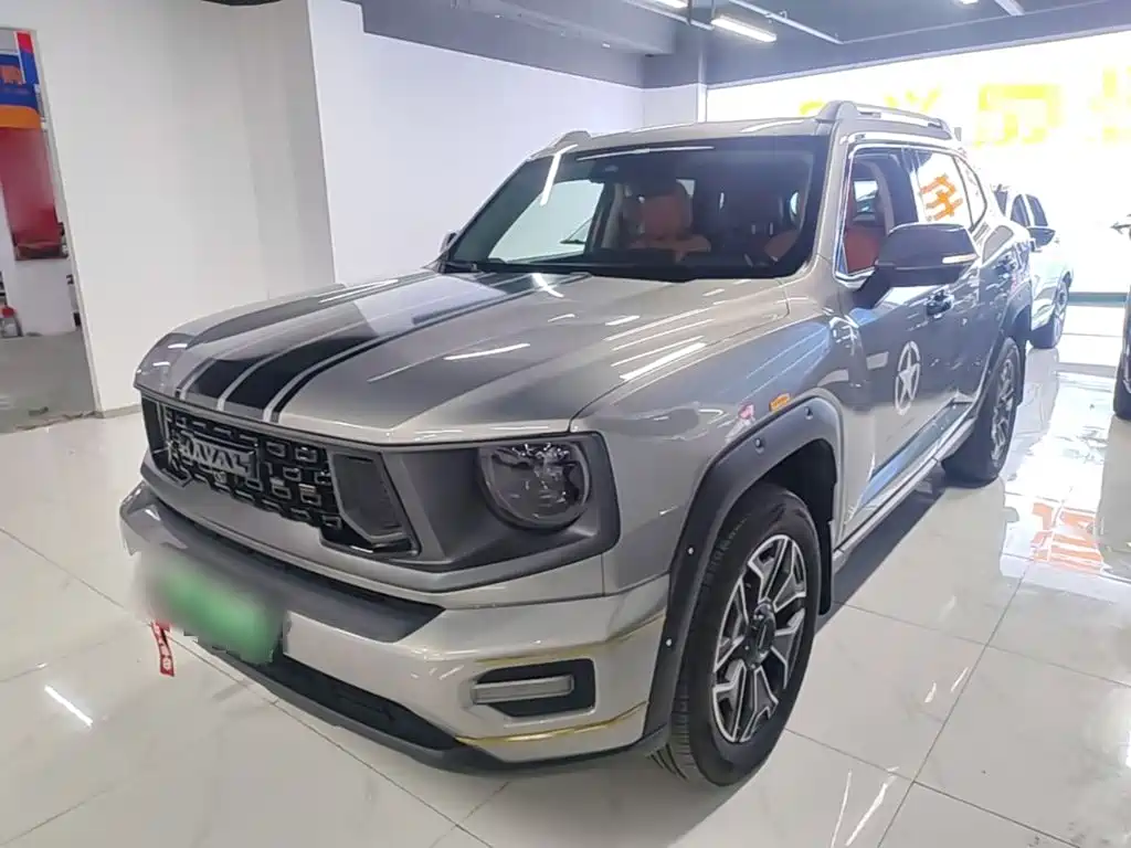 Haval Big Dog PLUS New Energy — миниатюра 2