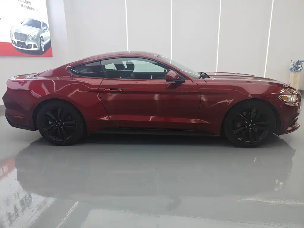 Ford Mustang — миниатюра 4