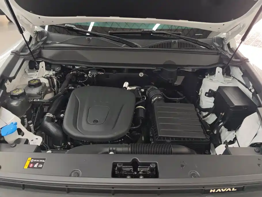 Haval Menglong New Energy — миниатюра 10