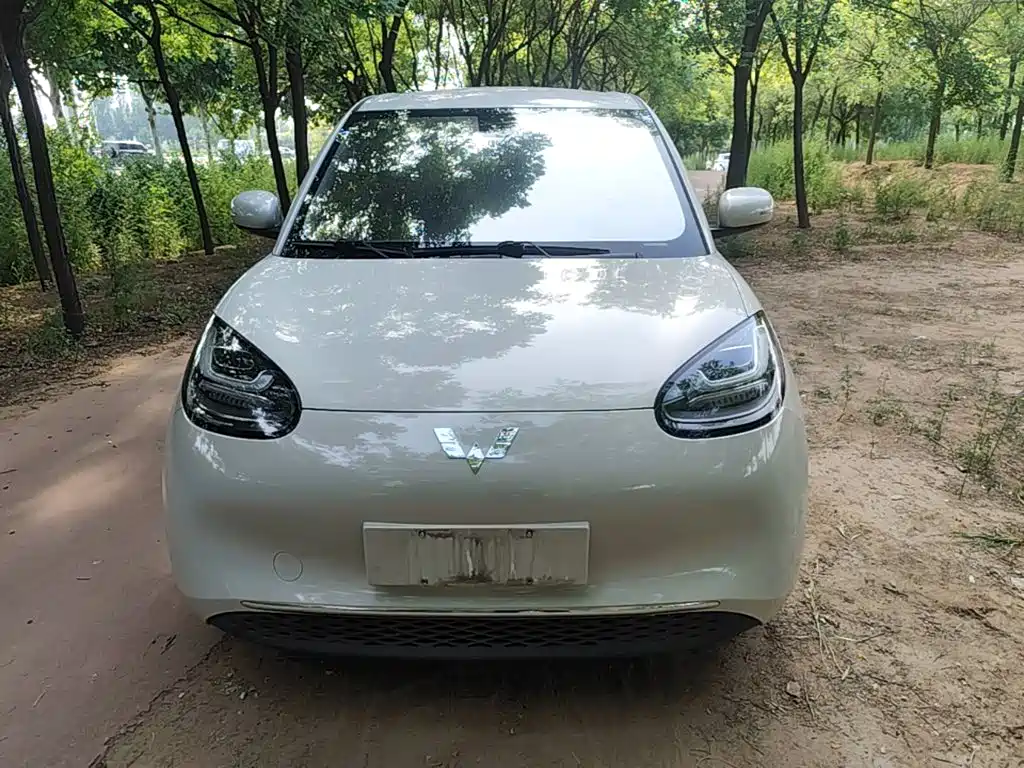 Wuling Binguo 2023 203km