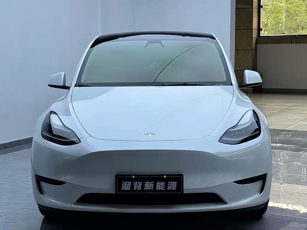 Tesla Model Y — миниатюра 14