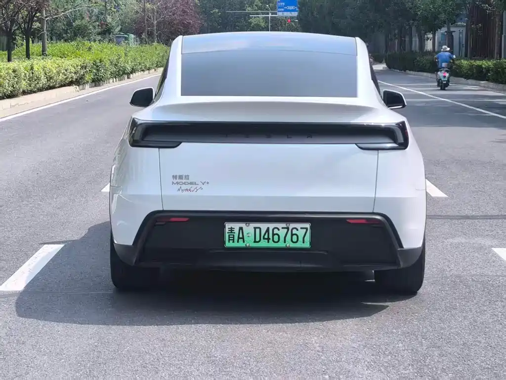 Tesla Model Y — миниатюра 12