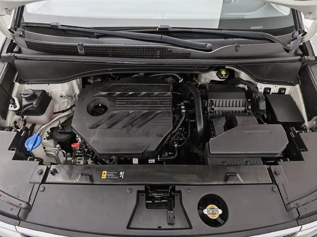 Hyundai Custo 2021 380TGDi Luxury LUX Premium