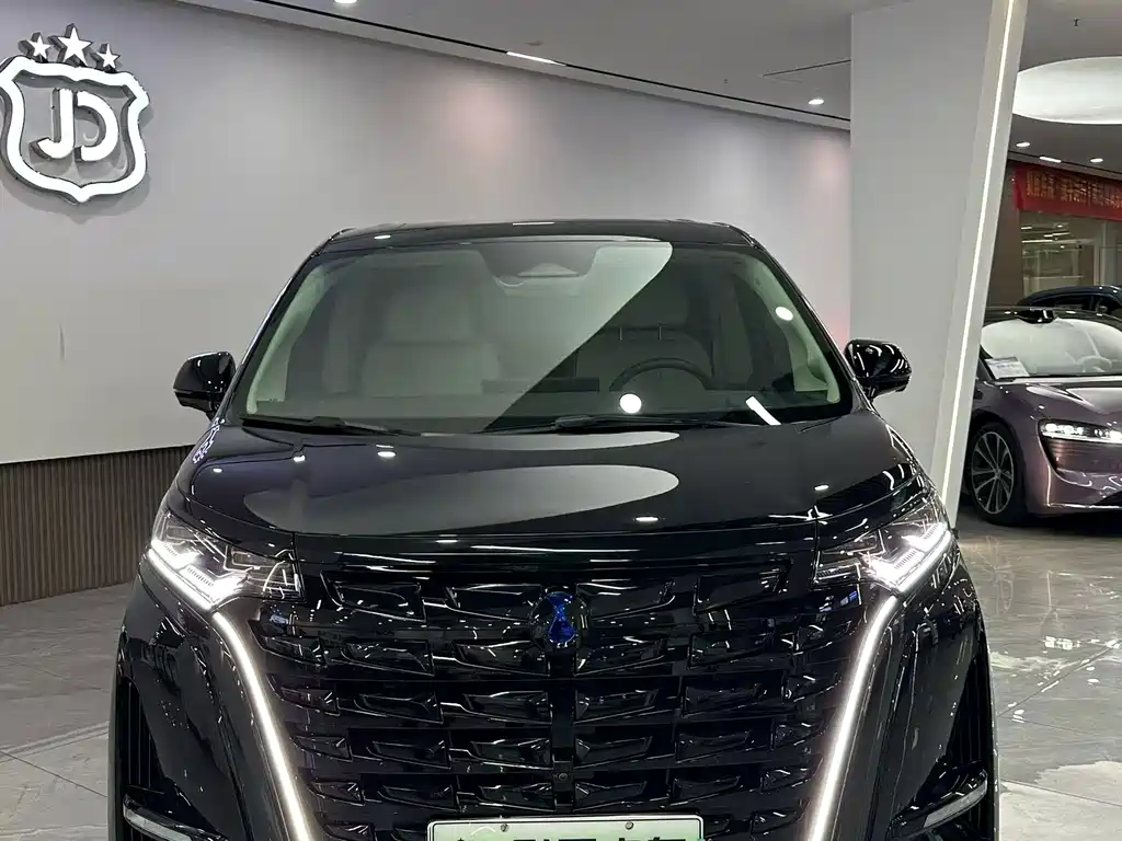 Denza Denza D9 — миниатюра 2
