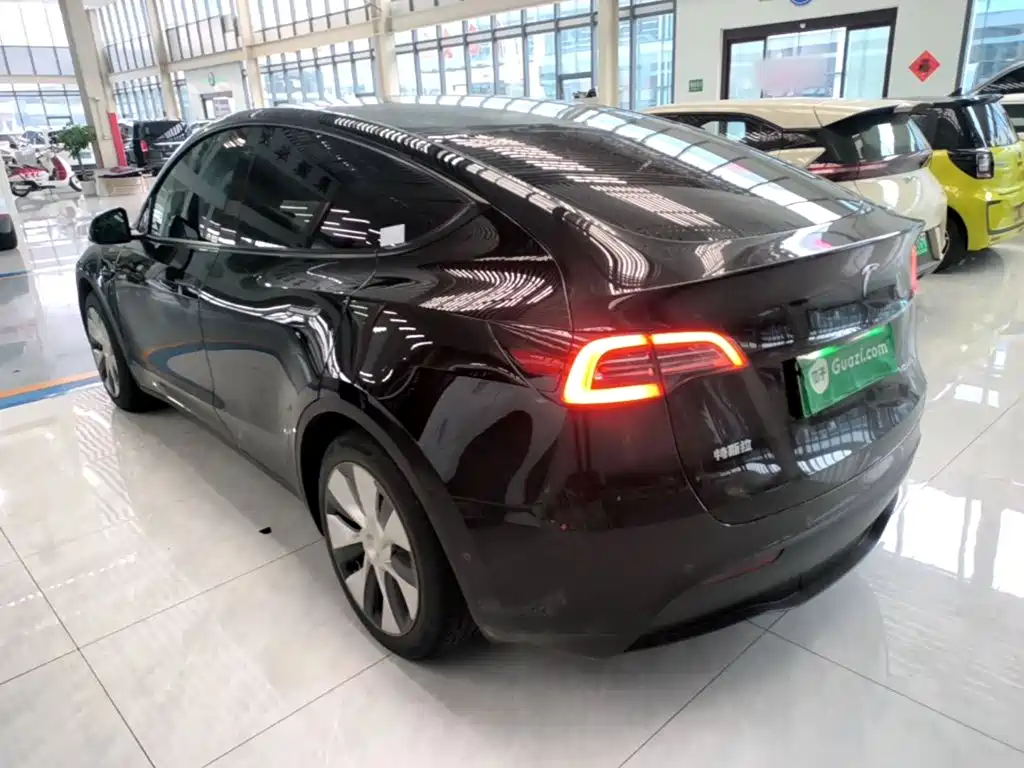 Tesla Model Y — миниатюра 5