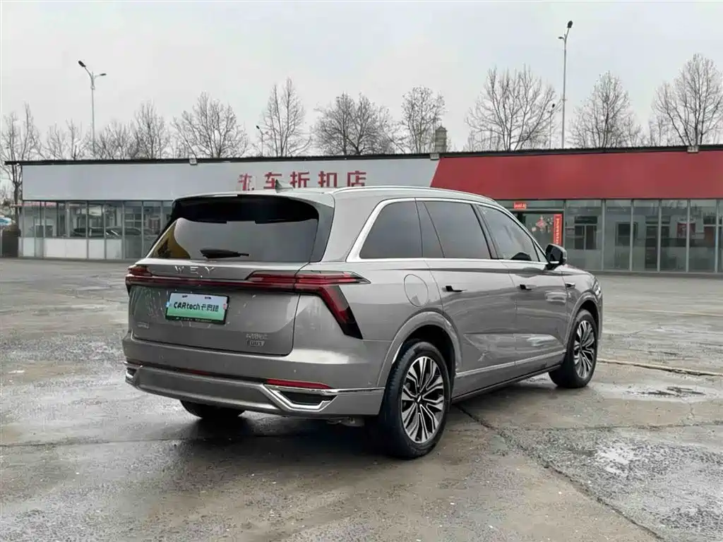 WEI PAI WEI BRAND BLUE MOUNTAIN