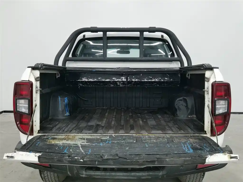 JIANGLING DOMAIN TIGER 3