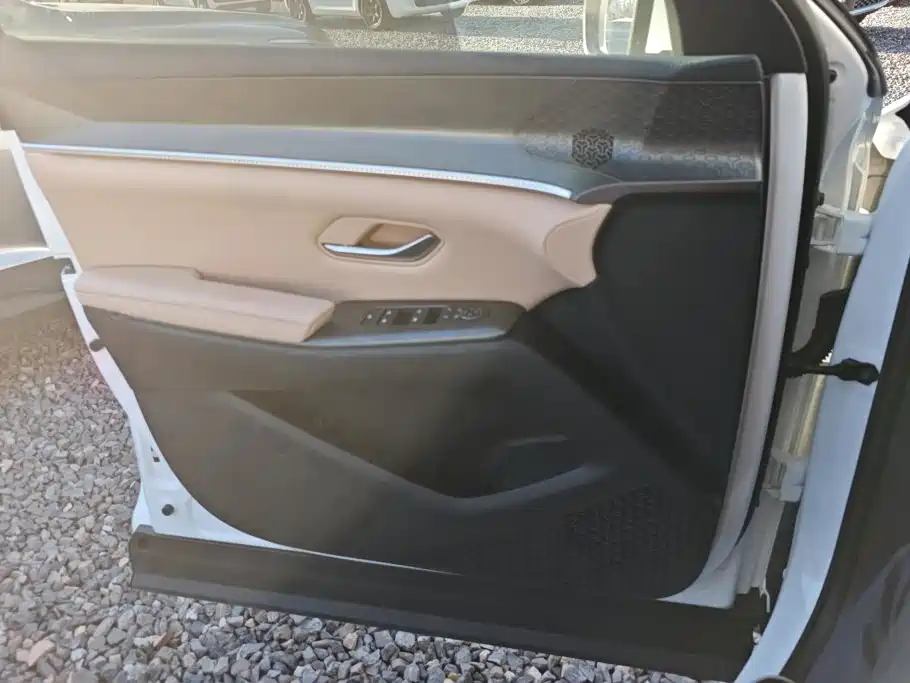 BYD Pro New Energy — миниатюра 7