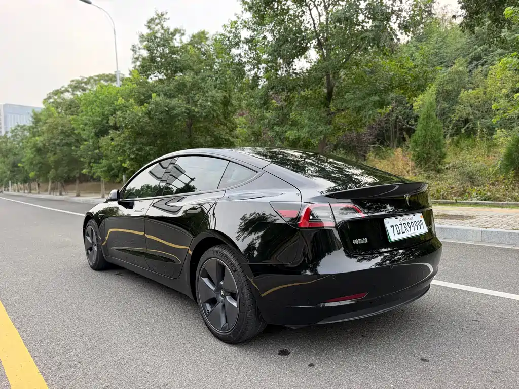 Tesla Model 3 — миниатюра 5
