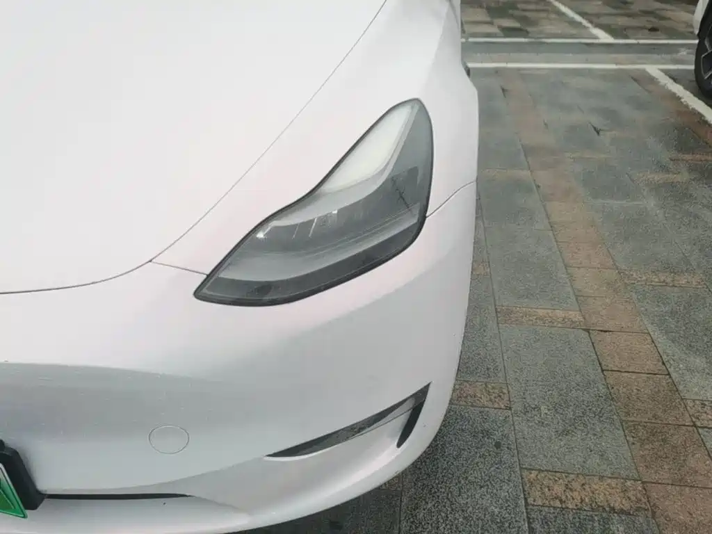 Tesla Model Y — миниатюра 24