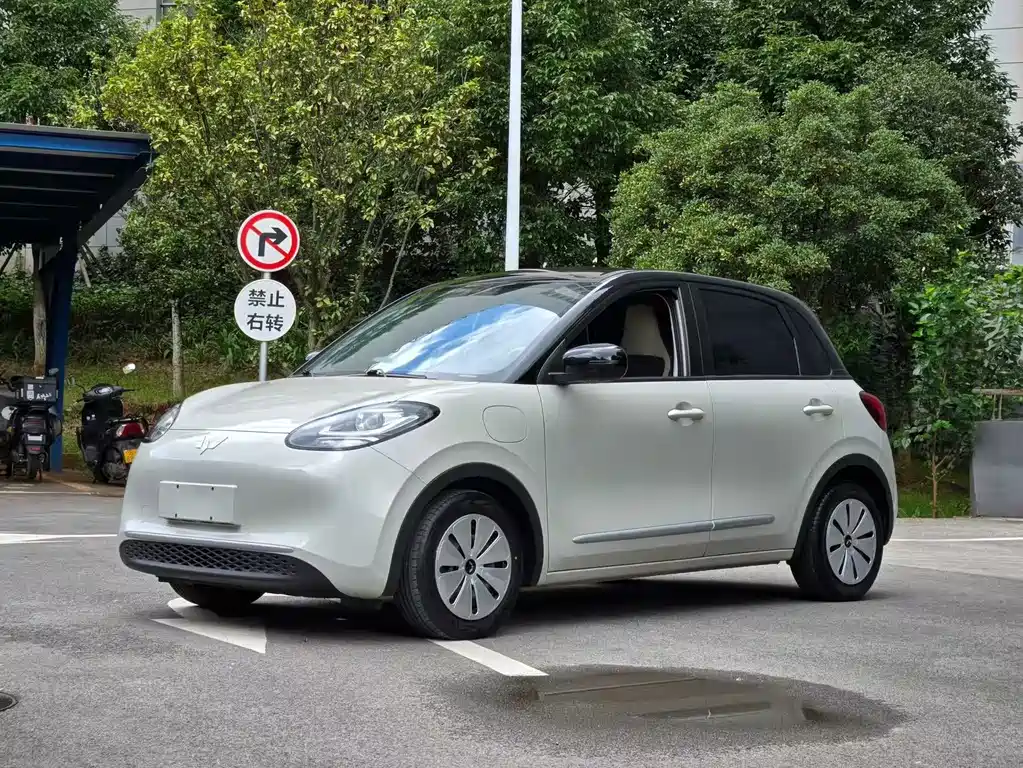 Wuling Bingo