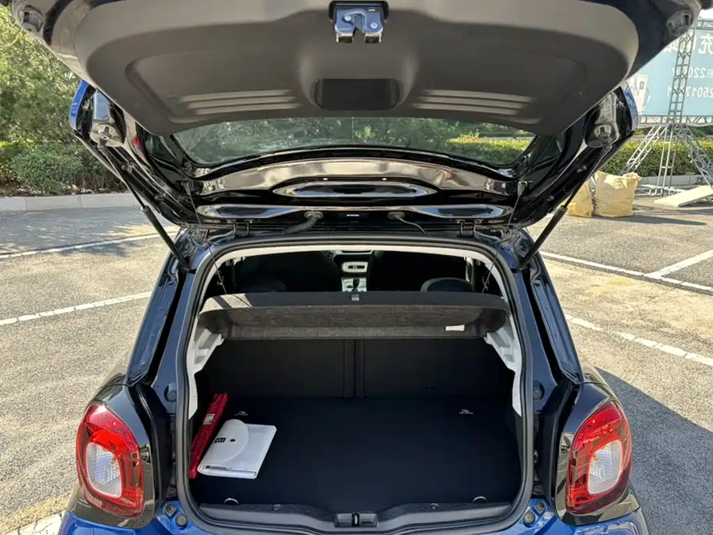 smart Smart Forfour — миниатюра 9