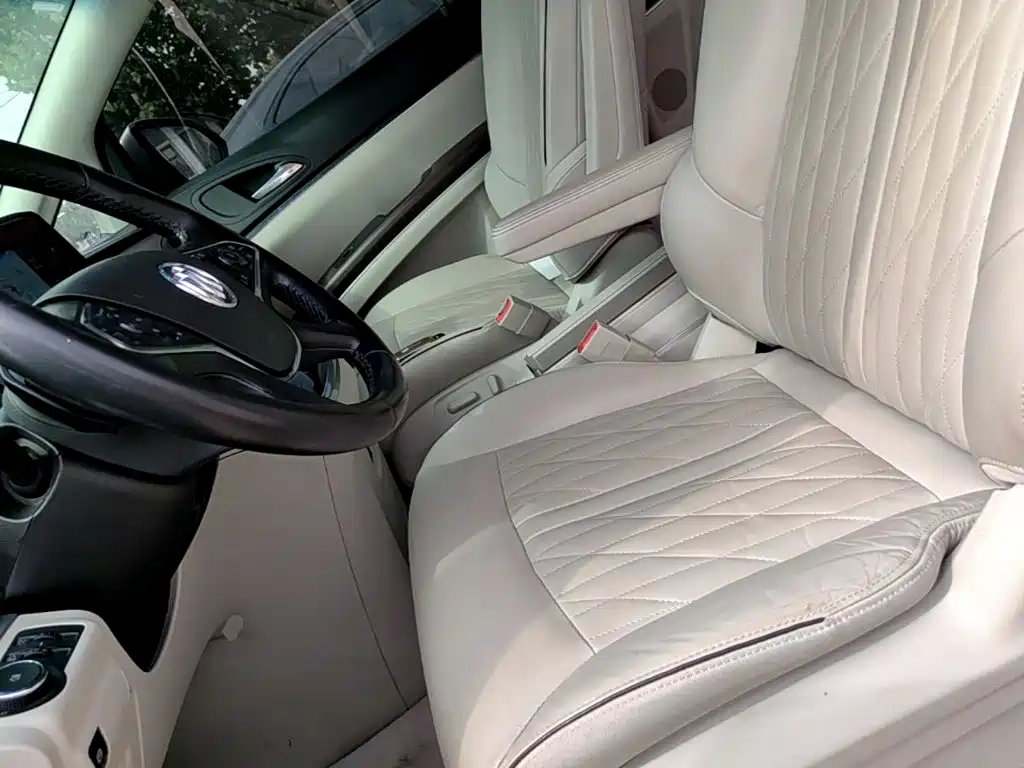 Buick GL8 — миниатюра 15