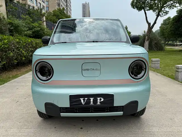 2024 Geely LC (Panda)