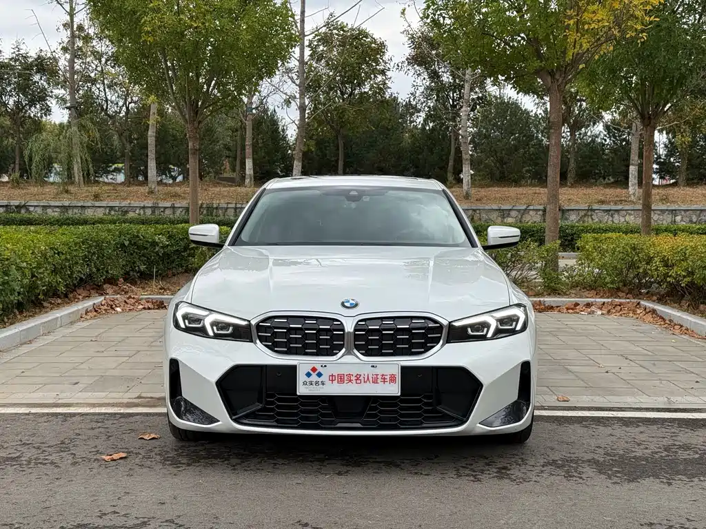 BMW 3 Series — миниатюра 2