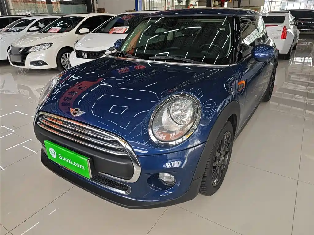 Mini Mini 2018