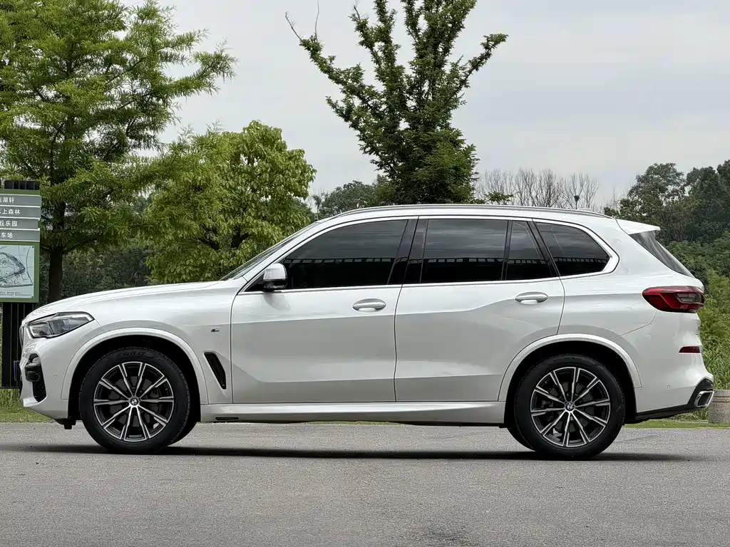 BMW X5 (Import) — миниатюра 18