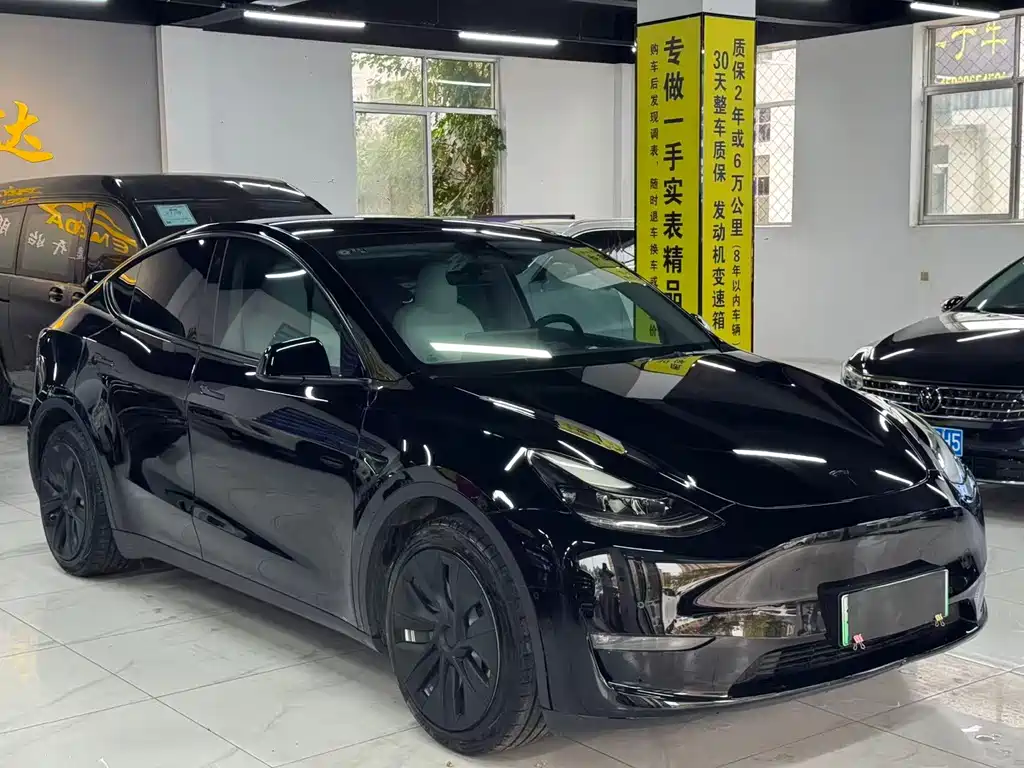 Tesla Model Y — миниатюра 3