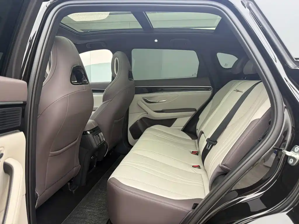 BYD PLUS New Energy — миниатюра 7