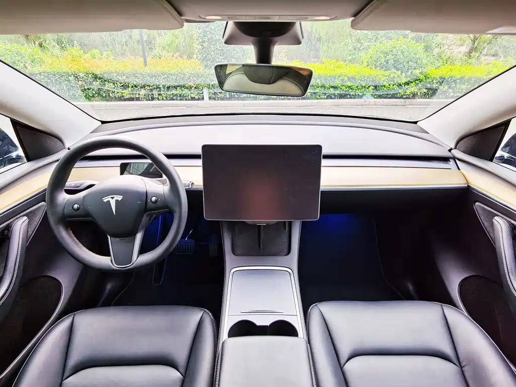 Tesla Model Y — миниатюра 13