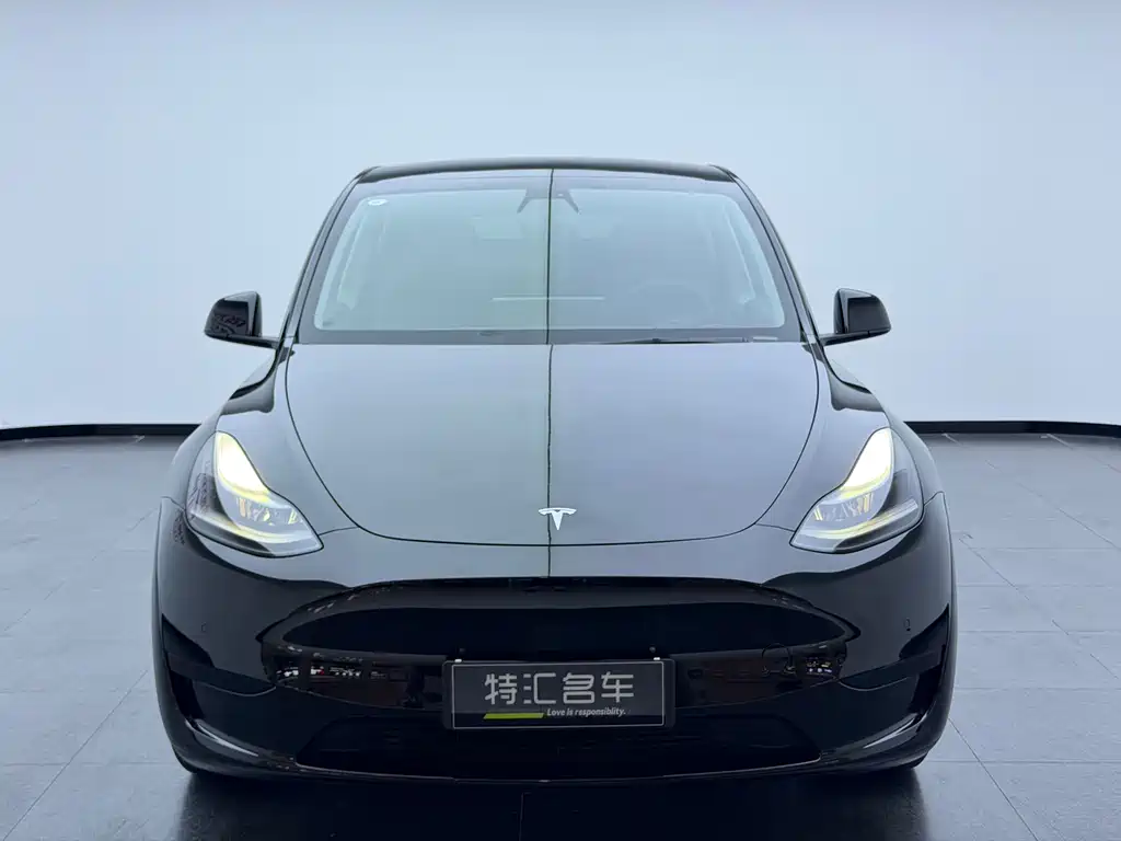 Tesla Model Y — миниатюра 2