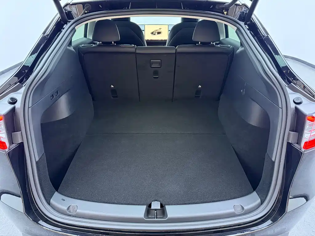Tesla Model Y — миниатюра 10