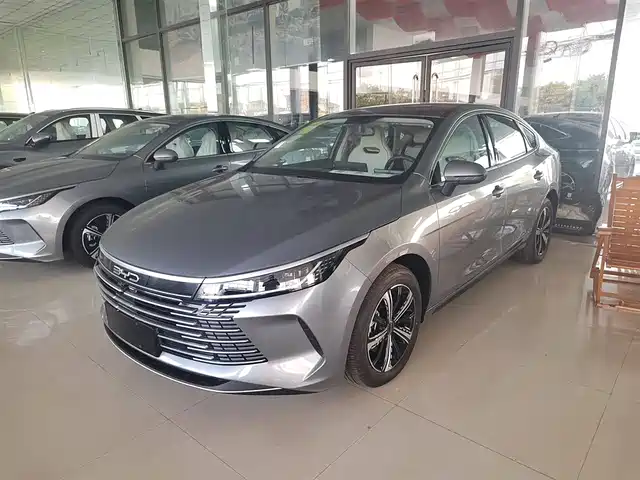 BYD DESTROYER 05 2025