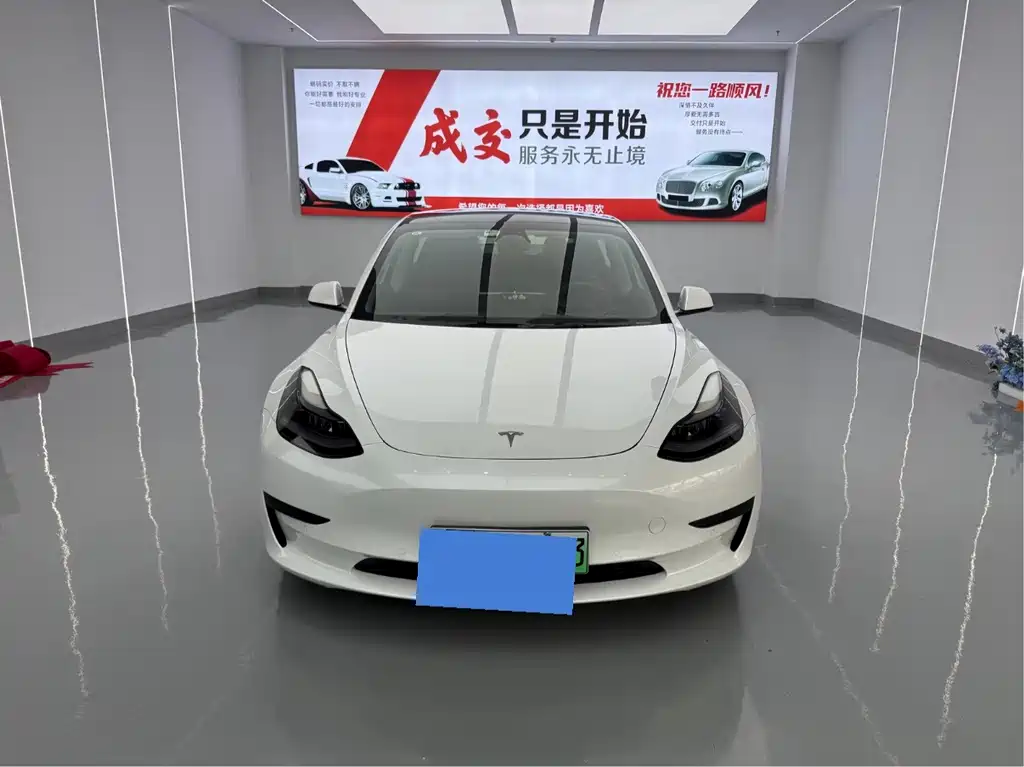 Tesla Model 3 — миниатюра 2