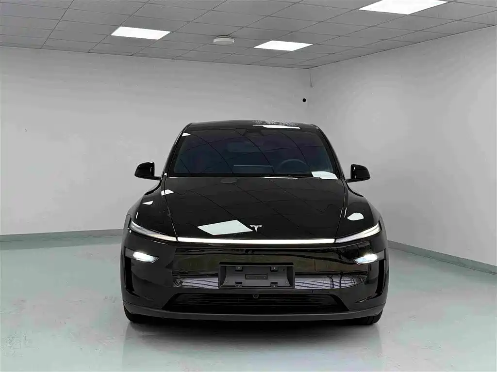 Tesla Model Y — миниатюра 2