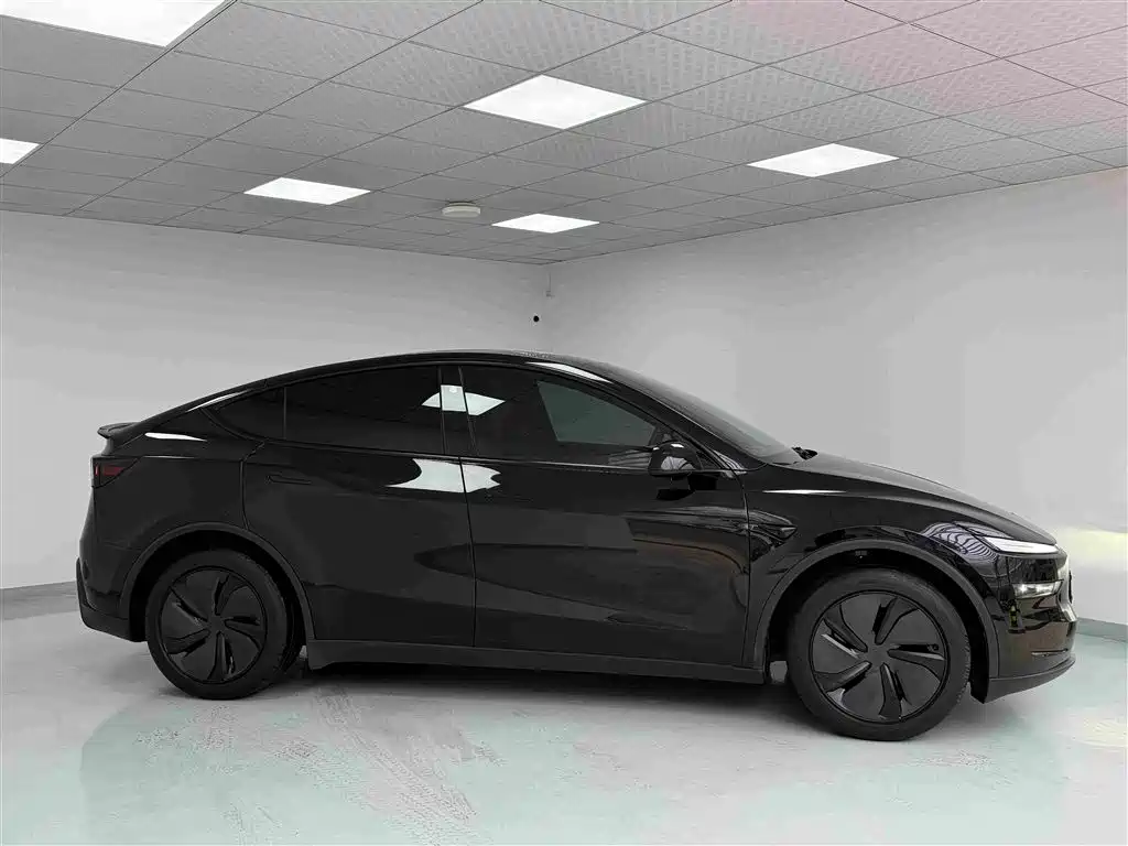 Tesla Model Y — миниатюра 3