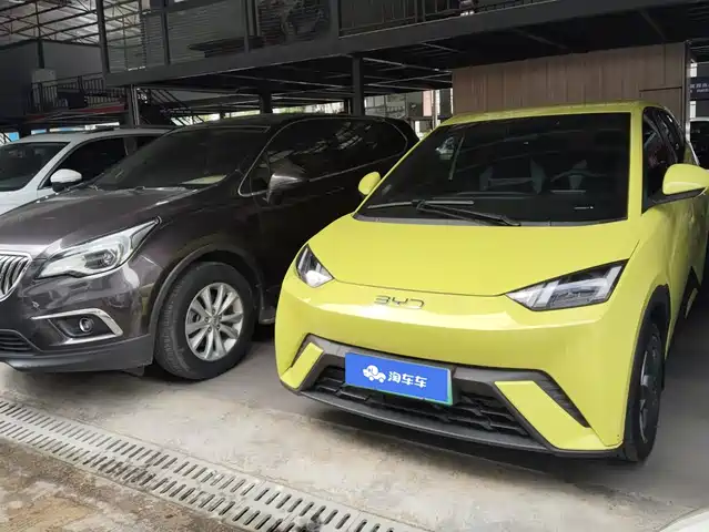 2024 BYD Seagull