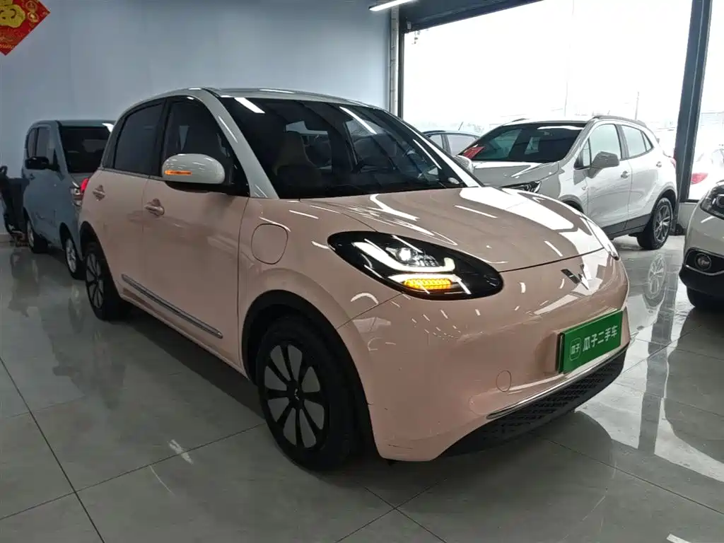 Wuling Binguo 2023 410km Premium