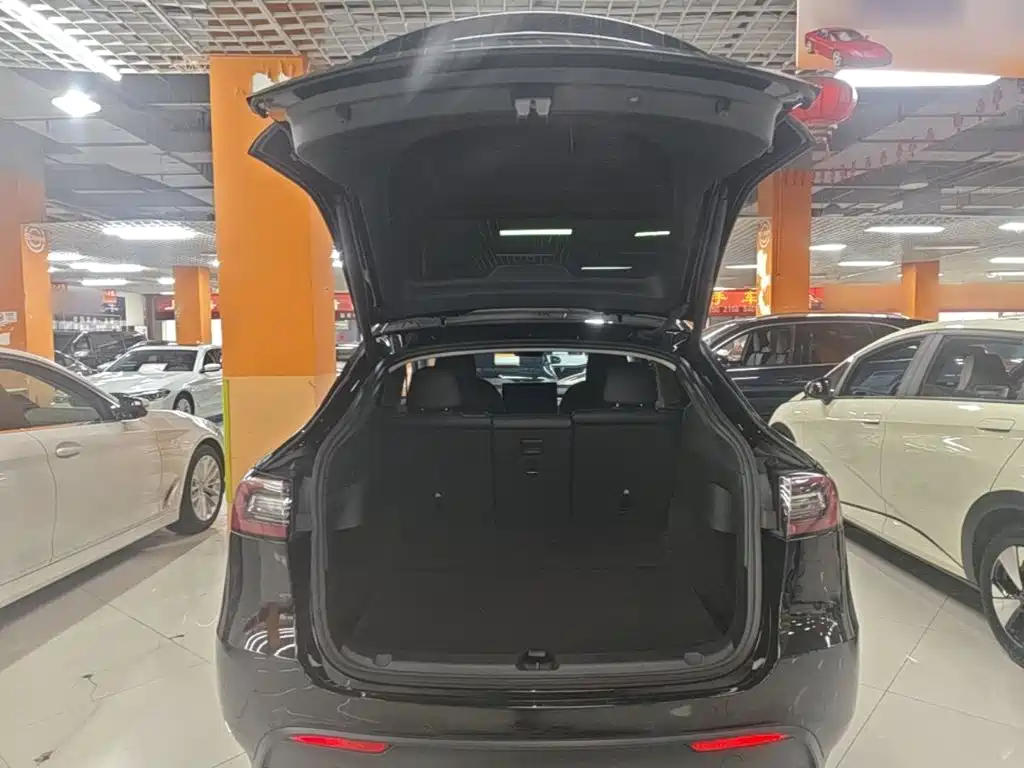 Tesla Model Y — миниатюра 19