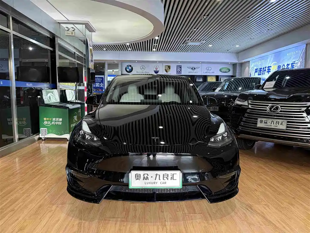 Tesla Model Y — миниатюра 2
