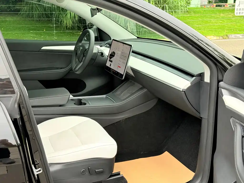 Tesla Model Y — миниатюра 11